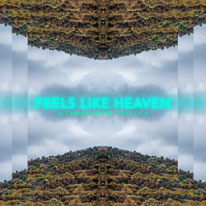 Al Camarro Project的专辑Feels Like Heaven