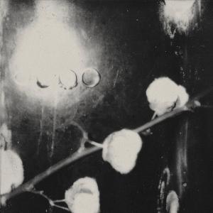 收聽Mavourneen的Not Yours Never Was歌詞歌曲