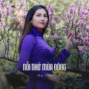 Listen to Nỗi Nhớ Mùa Đông (Ytmix) song with lyrics from Hà Vân