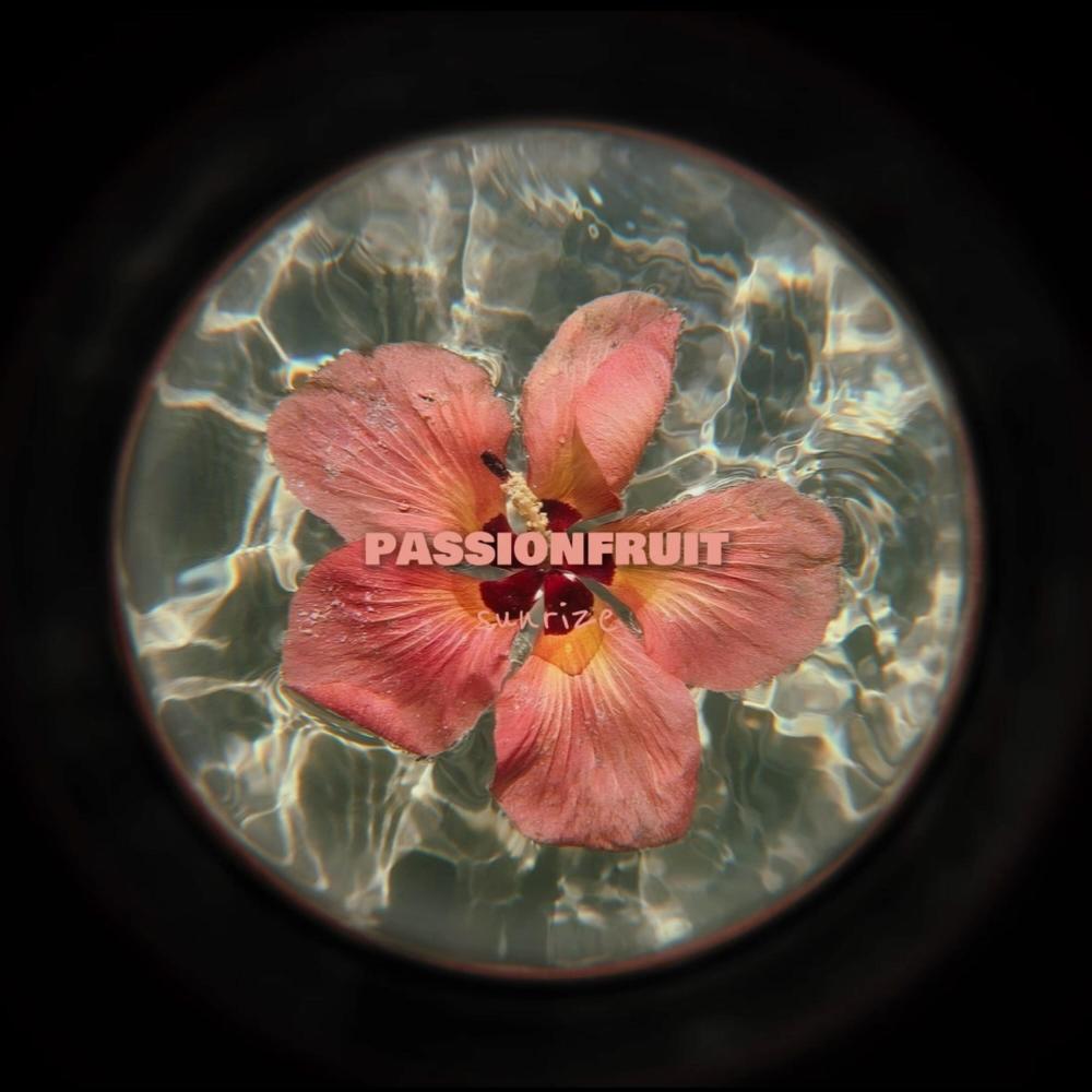Passionfruit (Afro House)