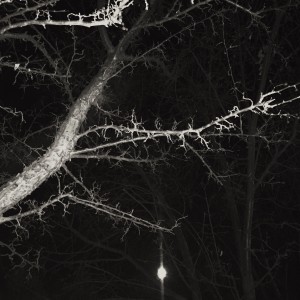 Album Запах твоих духов from слезы цвета сакуры
