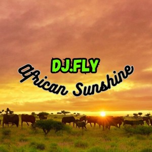 Dengarkan African Sunshine lagu dari DJ.Fly dengan lirik