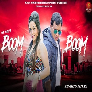ดาวน์โหลดและฟังเพลง Boom Boom พร้อมเนื้อเพลงจาก Shahid Mirza