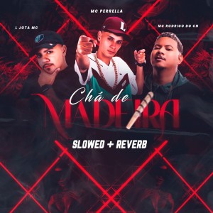 Listen to CHÁ DE MADEIRA (SLOWED + REVERB|Explicit) song with lyrics from MC Perrella