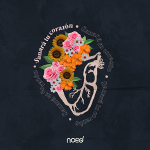 Listen to Sanará Tu Corazón song with lyrics from Noed