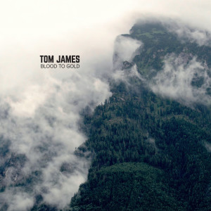 อัลบัม Blood to Gold ศิลปิน Tom James