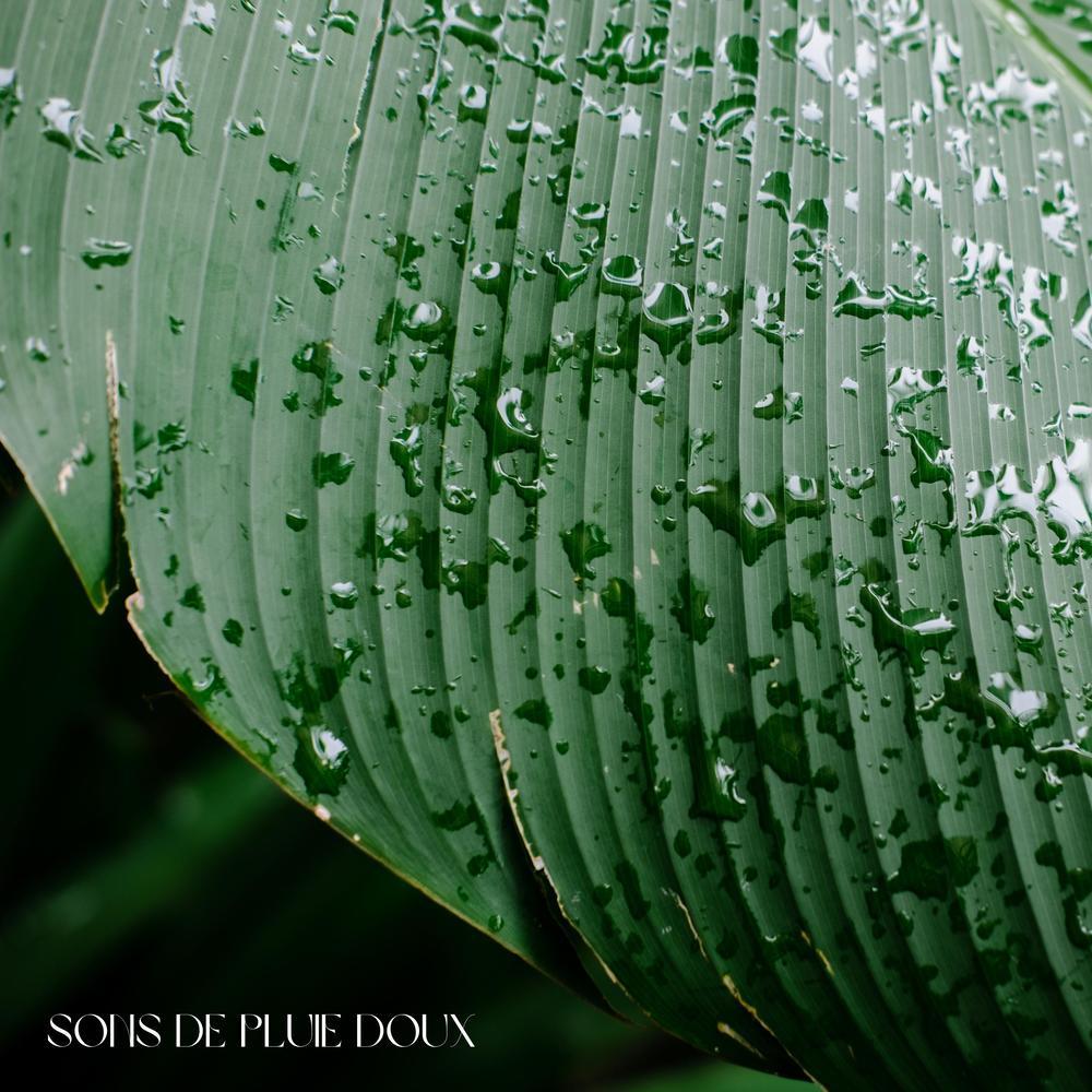 Heures de pluie