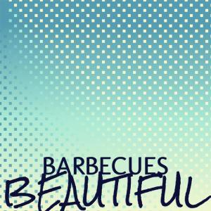 收听Sisa Fale的Barbecues Beautiful歌词歌曲