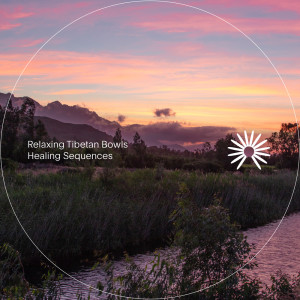 Listen to Heal from Within song with lyrics from Relaxing Tibetan Singing Bowls