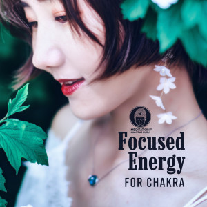 Listen to Angel Therapy song with lyrics from Meditation Mantras Guru