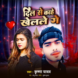 Listen to Dil Se Kahe Khelalle Ge song with lyrics from Krishna Yadav