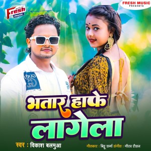 Listen to Bhatar Hafe Lagal song with lyrics from Vikash Balamua