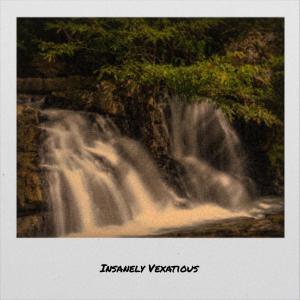 Various的专辑Insanely Vexatious