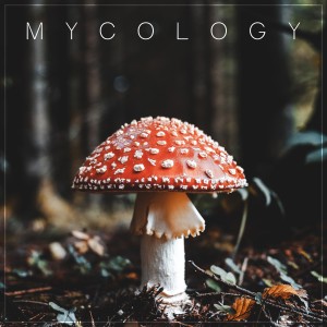 Album Mycology oleh Sacre