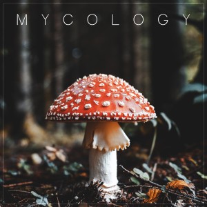 Dengarkan lagu Chanterelle nyanyian Sacre dengan lirik