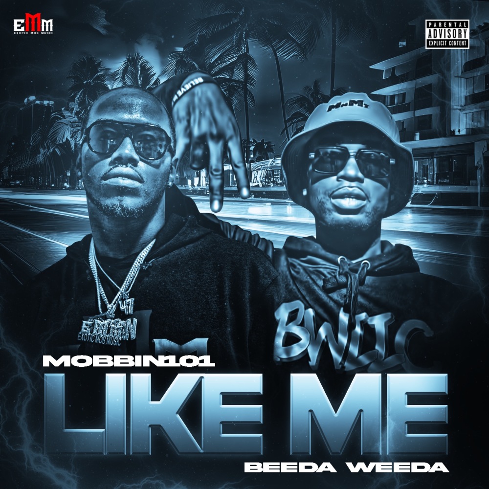 Like Me (Explicit)