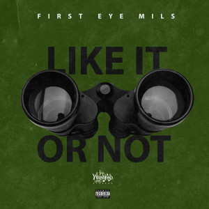 ดาวน์โหลดและฟังเพลง Like It Or Not พร้อมเนื้อเพลงจาก First Eye Mils