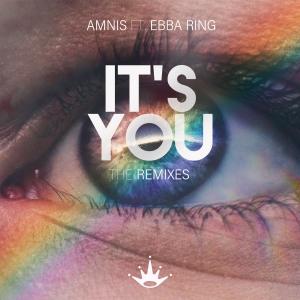 Listen to It's you (feat. Ebba Ring) [Thorley Remix] song with lyrics from Amnis