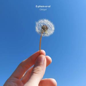 收聽Obligal的Transient(feat. Guineer)歌詞歌曲