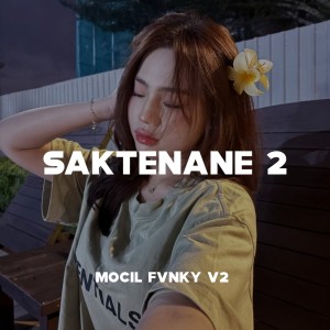 收聽LEK PANG的Saktenane 2歌詞歌曲