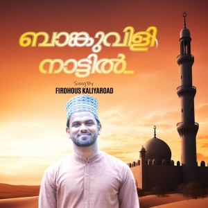 Album Bankuvilli nattil from 