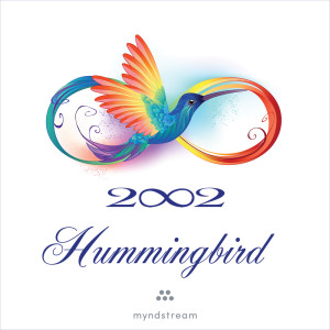 Listen to Through the Rainbow song with lyrics from 2002