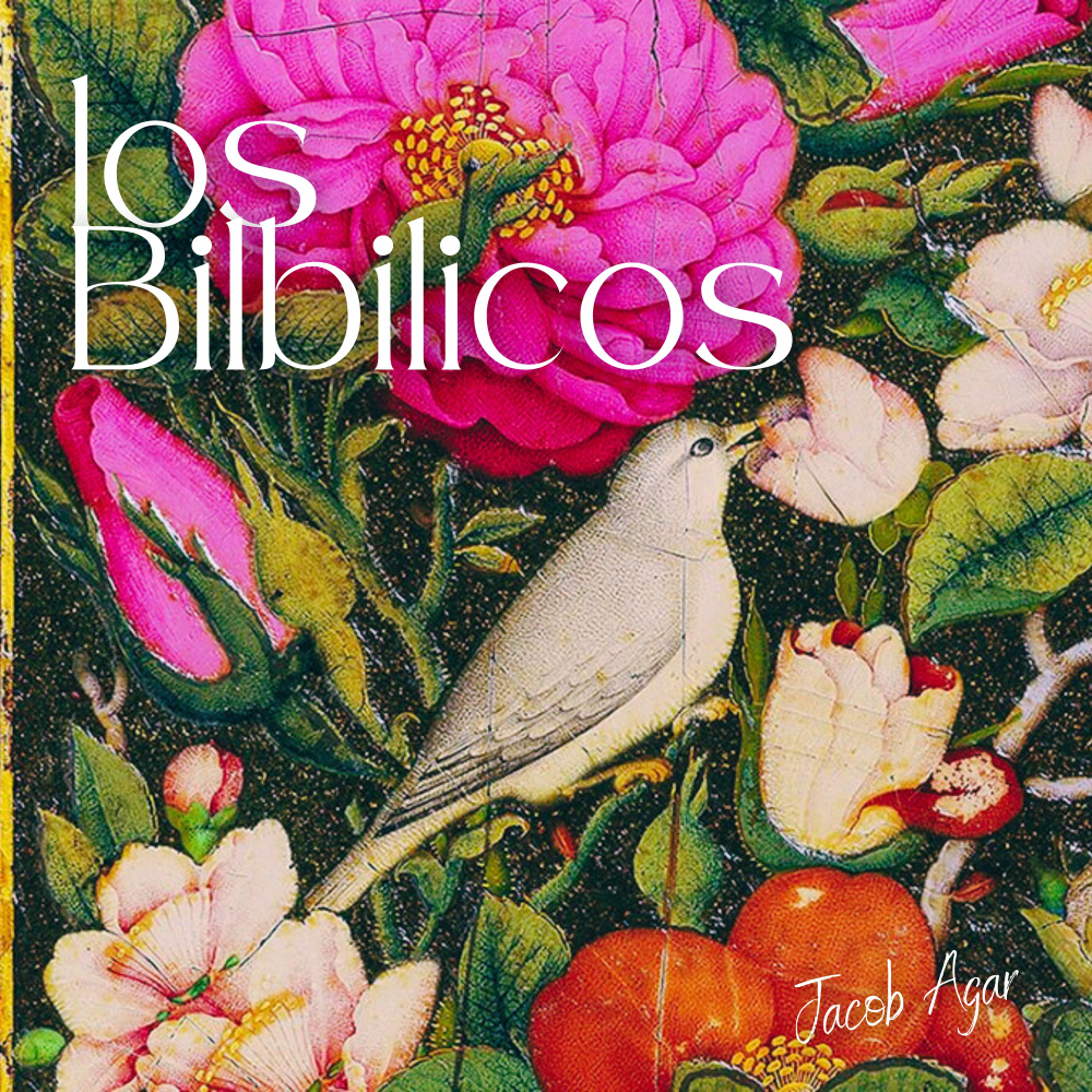 Los Bilbilicos