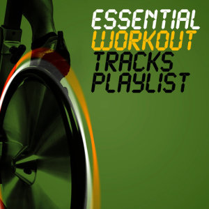 收聽Workout Trax Playlist的Love Is Gone (128 BPM)歌詞歌曲