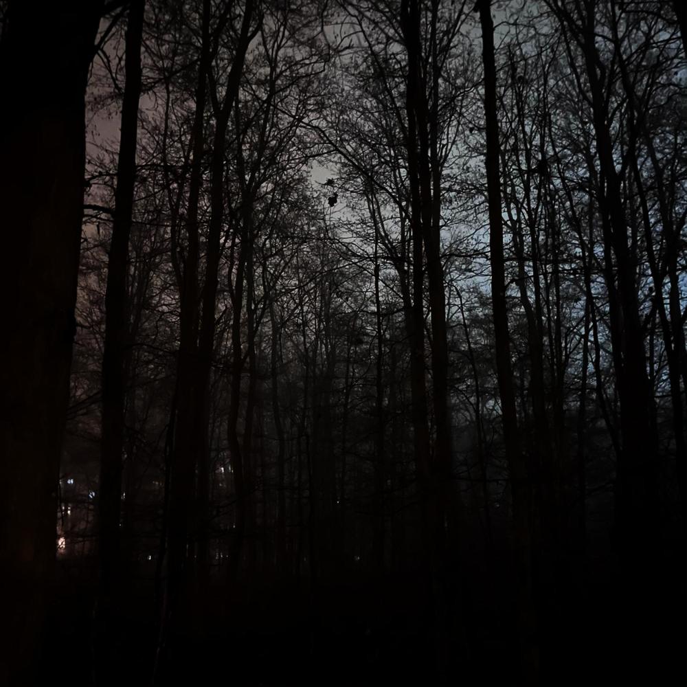 Graveyard Anthem (feat. Crack$ & LSDTheProphet) (Explicit)