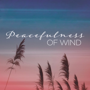 Peacefulness of Wind (Harmonic Sounds to Unwind Your Anxiety, Wind Noise for Sleep and Total Comfort)