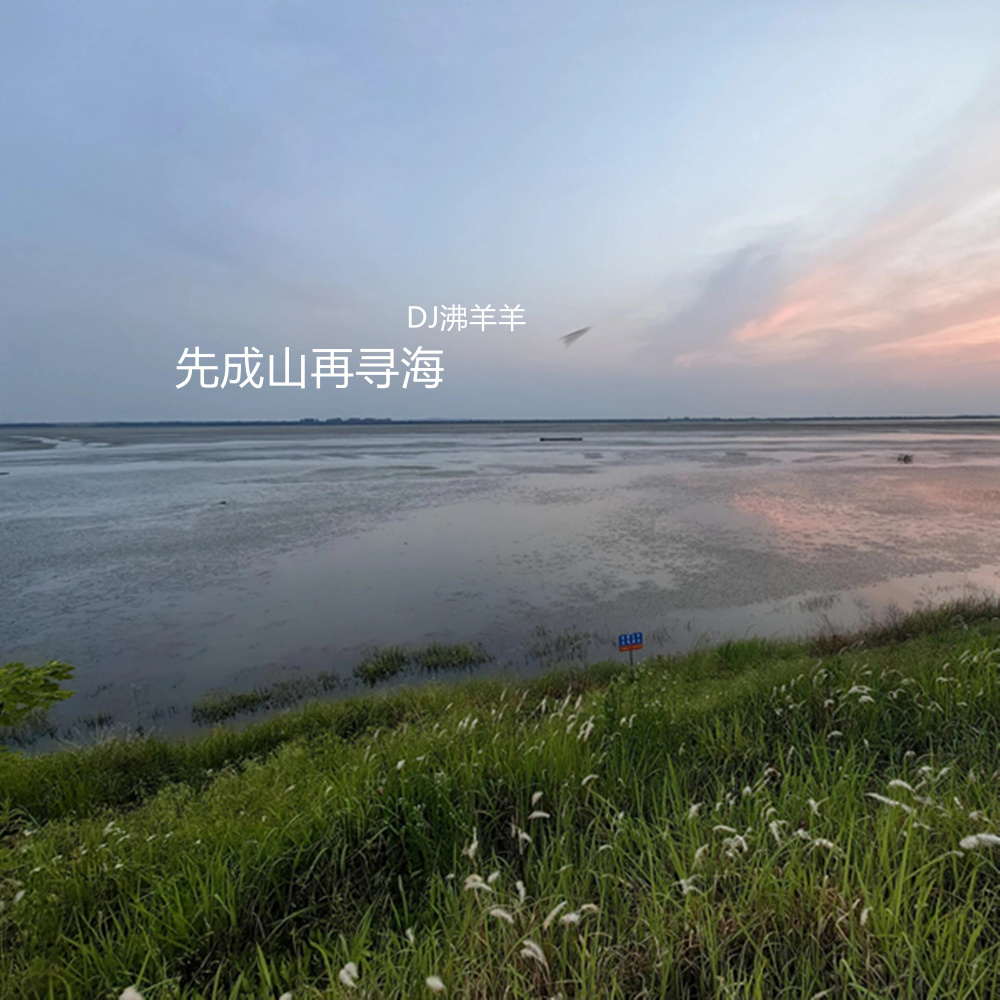 先成山再寻海