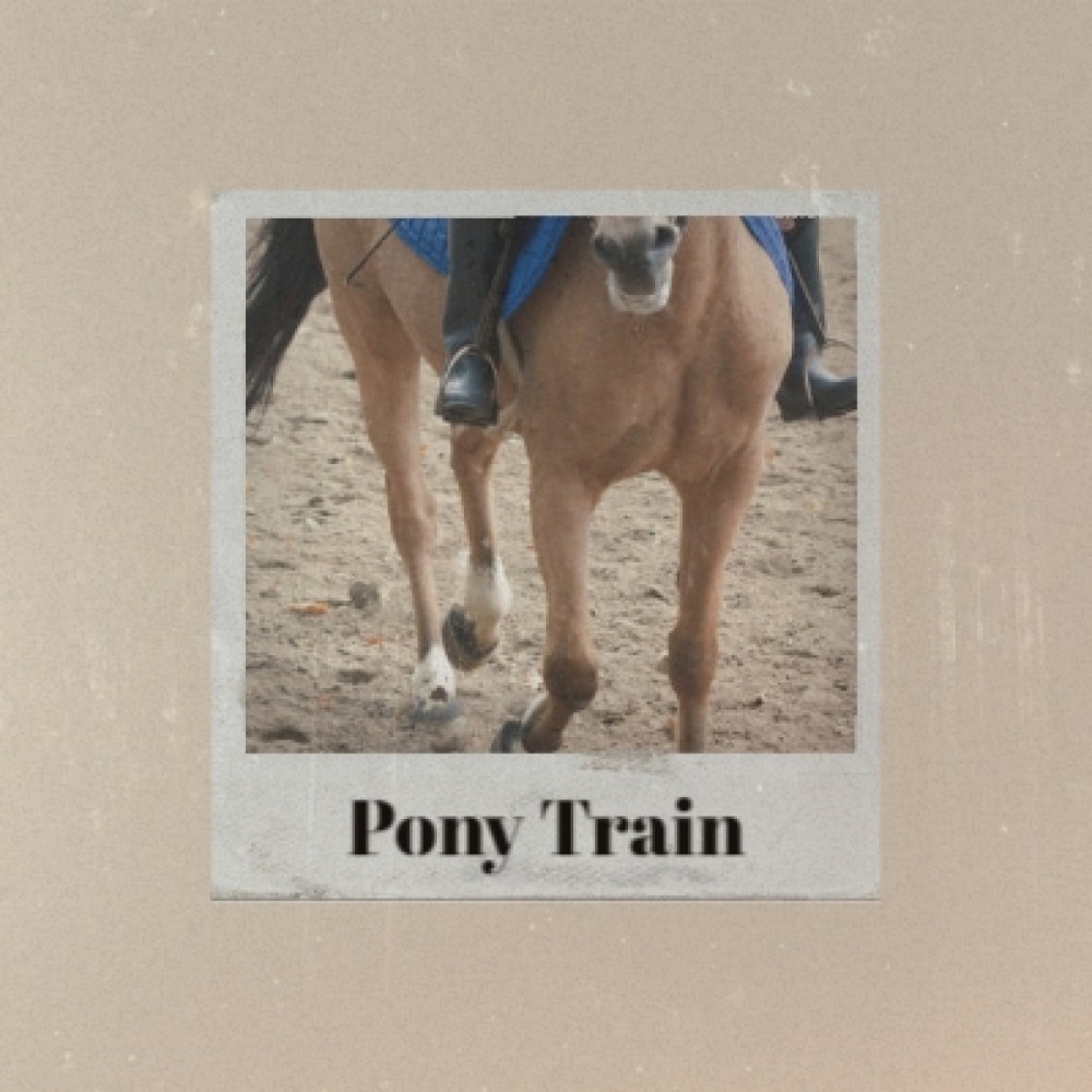 Pony Train