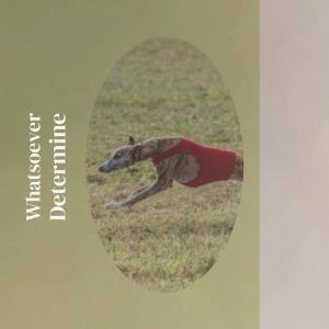 ดาวน์โหลดและฟังเพลง Thoughtful พร้อมเนื้อเพลงจาก Pnina Travon