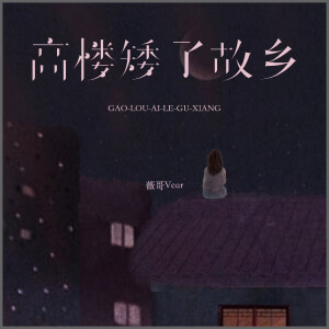 Album 高楼矮了故乡 from 王薇