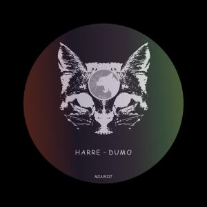 收聽Harre的Reflection歌詞歌曲