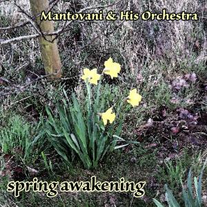 ดาวน์โหลดและฟังเพลง Air On The G String พร้อมเนื้อเพลงจาก Mantovani & His Orchestra