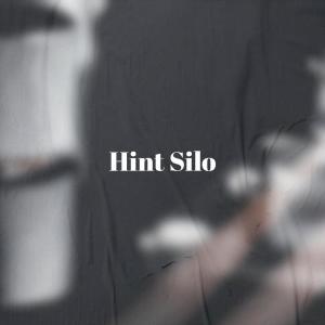Various Artists的專輯Hint Silo