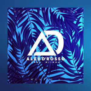 收聽Alex D'rosso的Next 2 U (Acoustic Version)歌詞歌曲