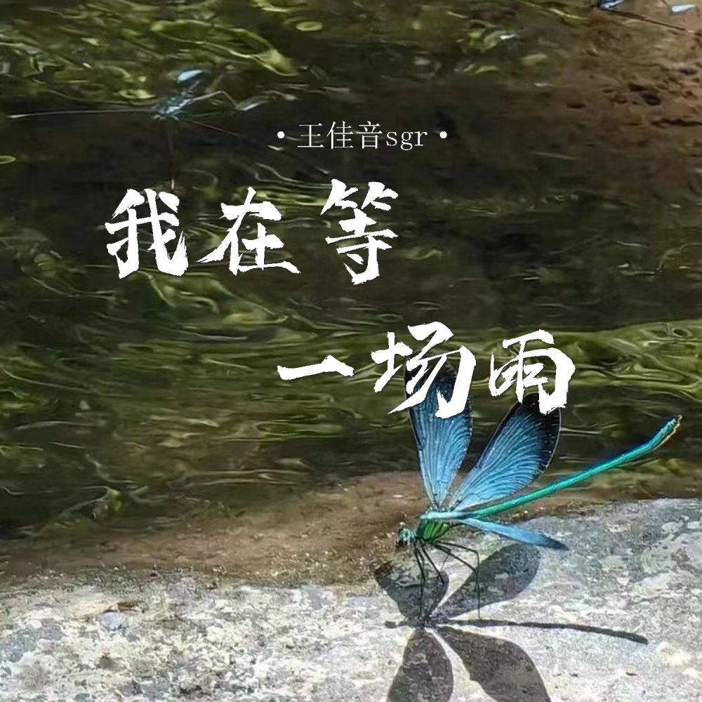我在等一场雨 (合唱版)