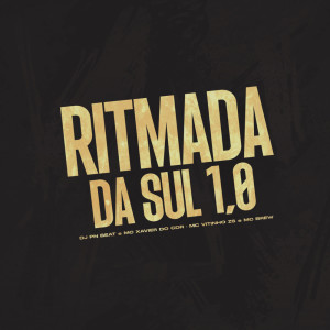 收聽Dj Pn Beat的Ritmada da Sul 1.0 (Explicit)歌詞歌曲