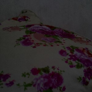 收听Mikail的Cinta歌词歌曲