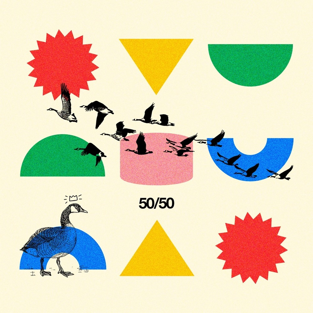 50/50