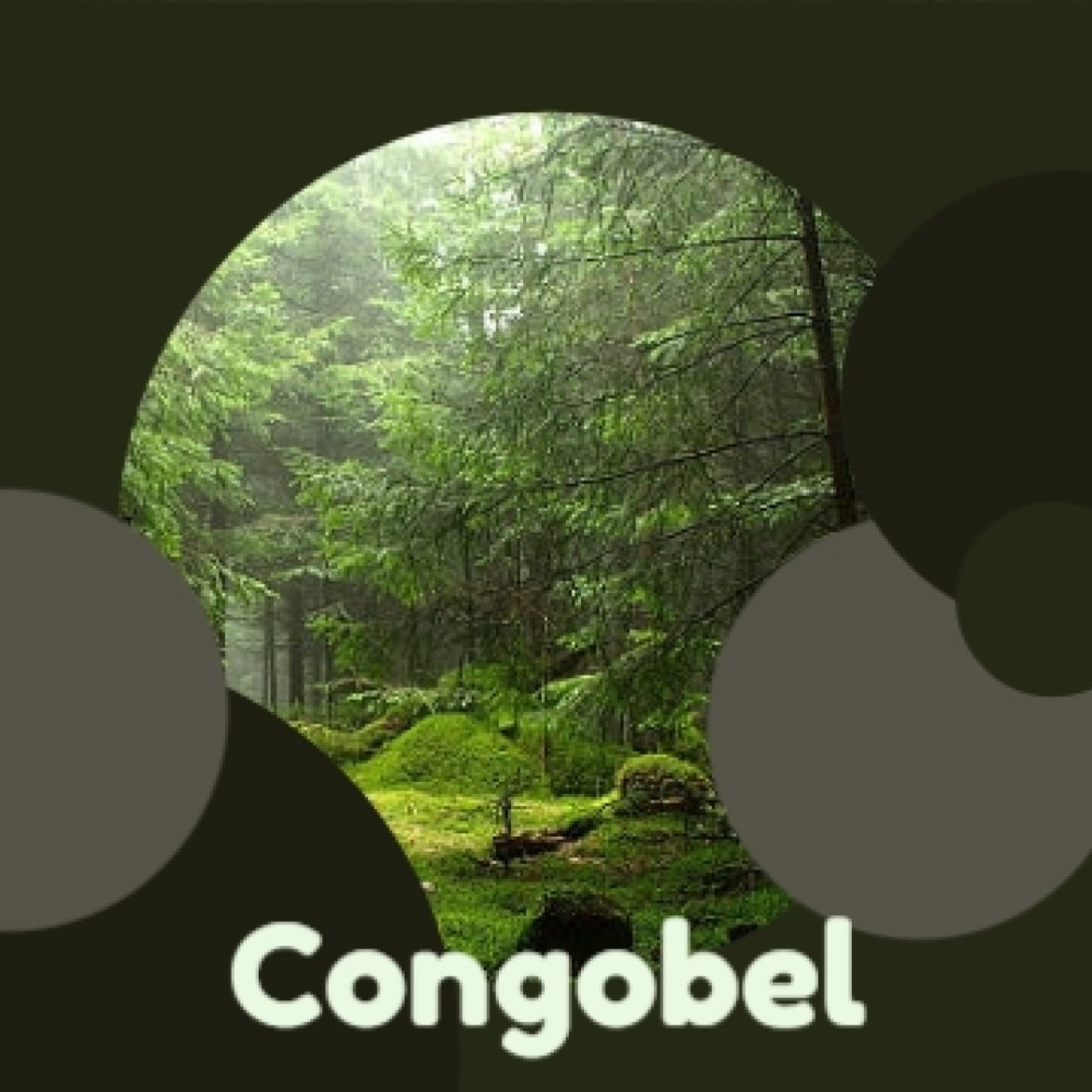 Congobel