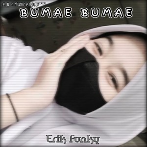 ERIK FUNKY的专辑Bumae bumae