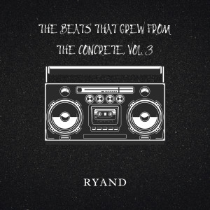 Listen to Boombap the Vocal Chop song with lyrics from RyanD