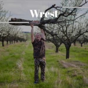 Album Wrest from Various