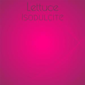 Listen to Lettuce Isodulcite song with lyrics from Mett Rere