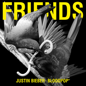 ดาวน์โหลดและฟังเพลง Friends พร้อมเนื้อเพลงจาก Justin Bieber