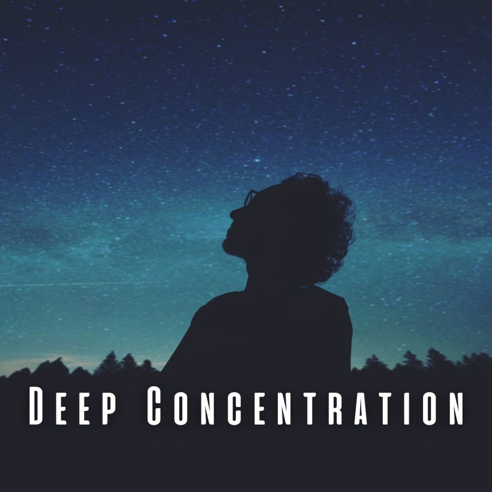 Lofi Deep Concentration Flow