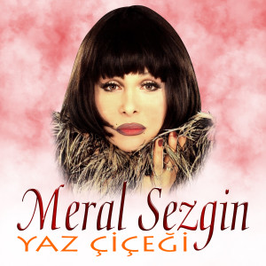 Album Yaz Çiçeği from Meral Sezgin
